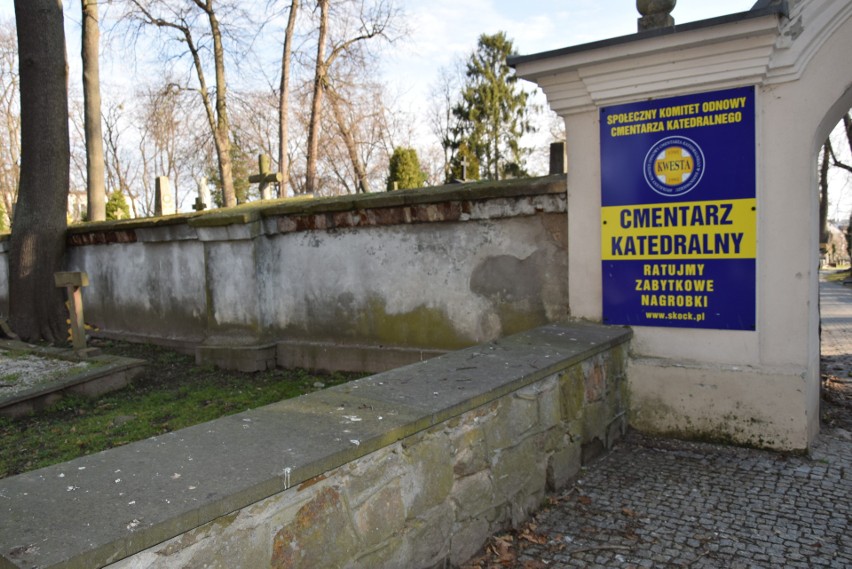 Ptaki niszczą zabytkowy Cmentarz Katedralny w Sandomierzu. Sprawcami są gawrony, wypłoszone z... sąsiedniego parku