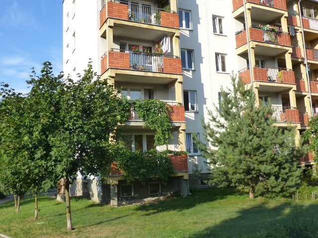 Białostockie DziesięcinyStawki za wynajem mieszkań w Białymstoku różnią się w zależności od lokalizacji. Najniższe ceny obowiązują na Dziesięcinach.