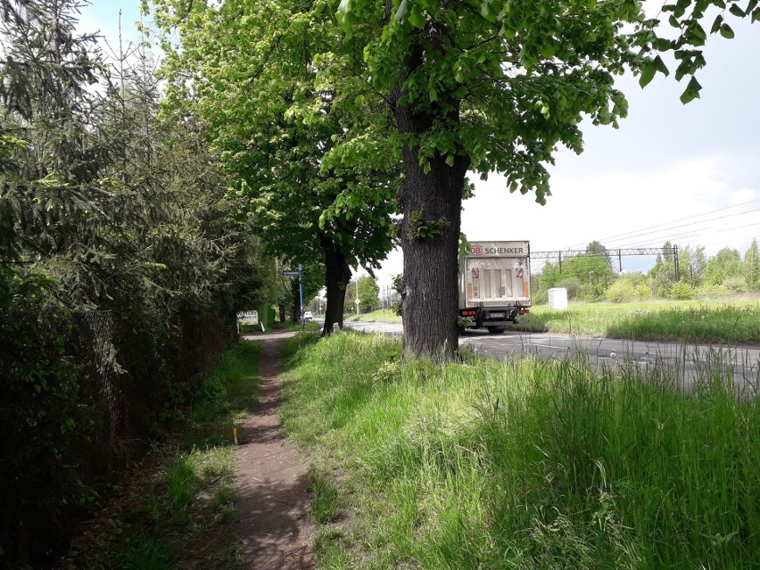 Na ulicy Mościckiego we Wrocławiu powstanie trasa rowerowa i...