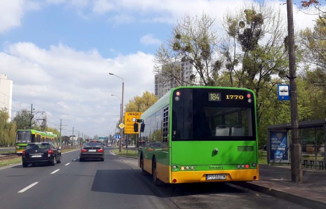 Autobusem linii nr 184 poznaniacy dojadą do centrum handlowego przy ulicy Szwajcarskiej