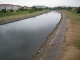 W Warcie wody coraz mniej. Najniższy poziom od 5 lat. Jest susza