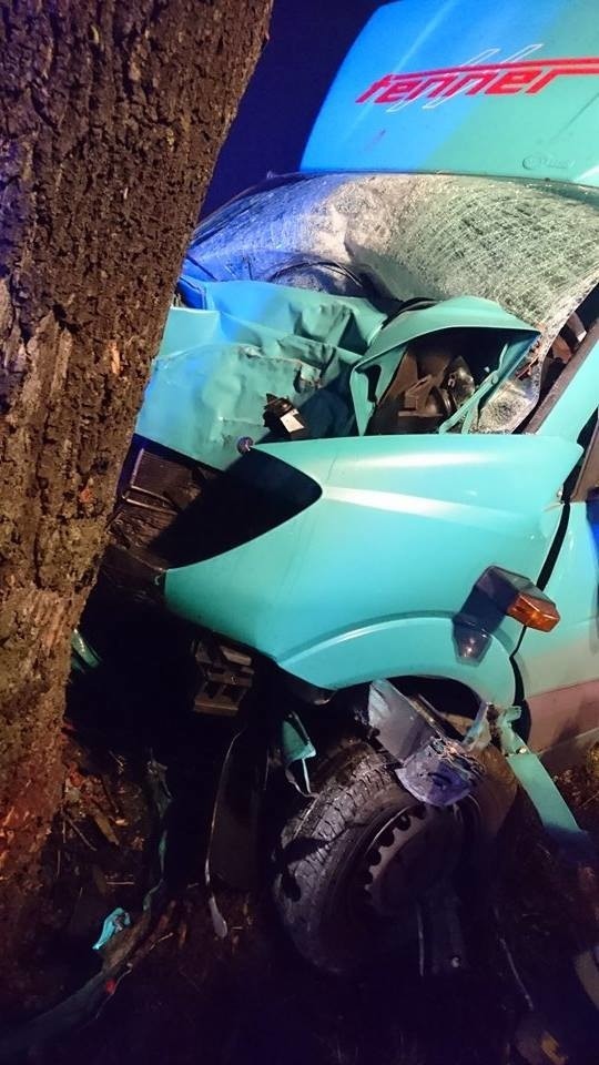 Mercedes Sprinter uderzył w drzewo. W wyniku wypadku...