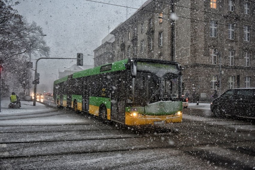 Śnieżyca w Poznaniu. Zasypało całe miasto