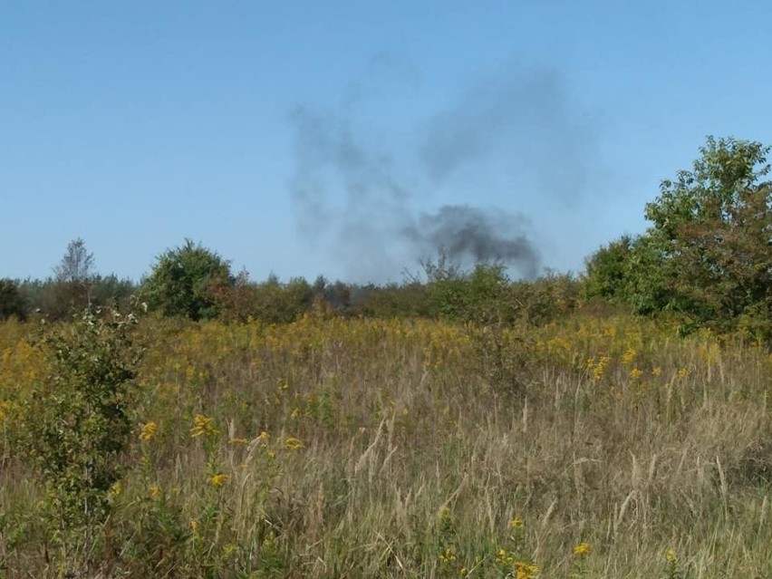 Pożar koło lotniska. Interweniowało kilka zastępów strażaków (ZDJĘCIA)