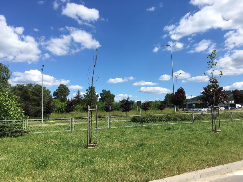 Kolejna restauracja McDonald's szykuje się w Kielcach, przy wylotówce (ZDJĘCIA) 