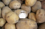 Jak i gdzie przechowywać ziemniaki, buraki i marchewkę na zimę? Jest kilka sposobów na warzywa korzeniowe