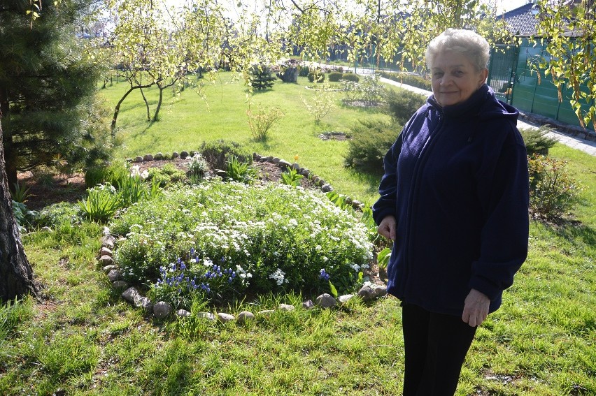 Działka to całe życie pani Zofii. O ogród dba już od 40 lat!