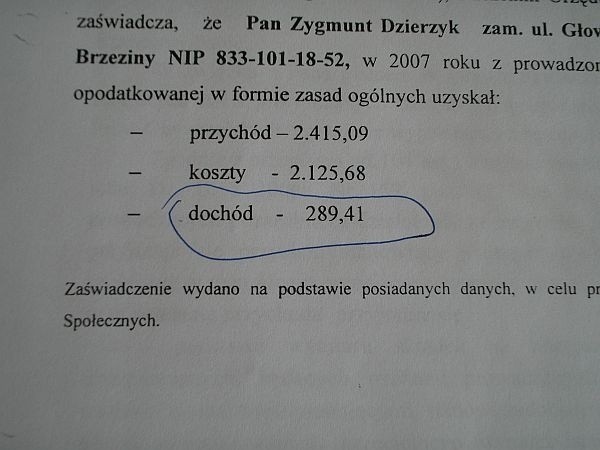 Dochód z dodatkowej pracy wyniósł niecałe 300 zł