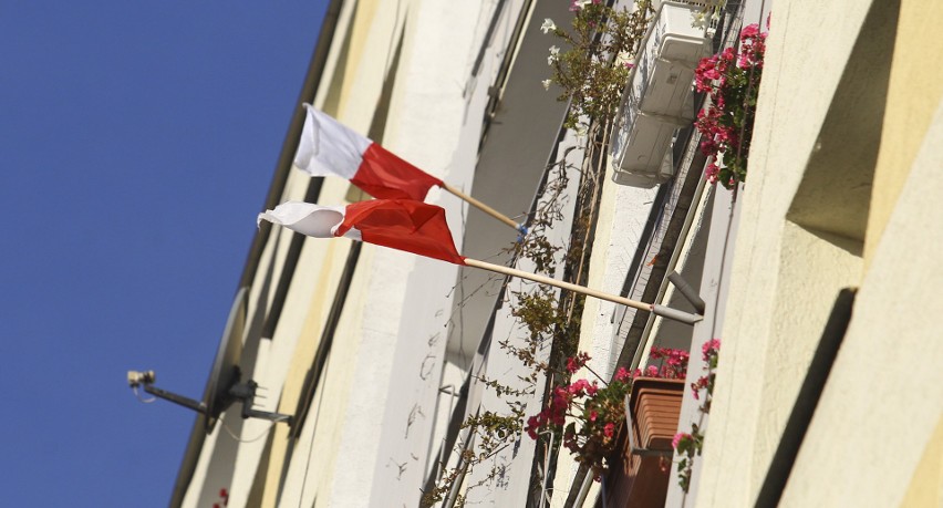 Rzeszów przyozdobiony flagami na Dzień Niepodległości.