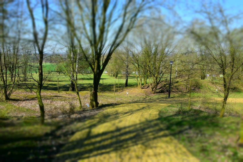 Śląski Ogród Botaniczny. Międzynarodowy Dzień Ptaków