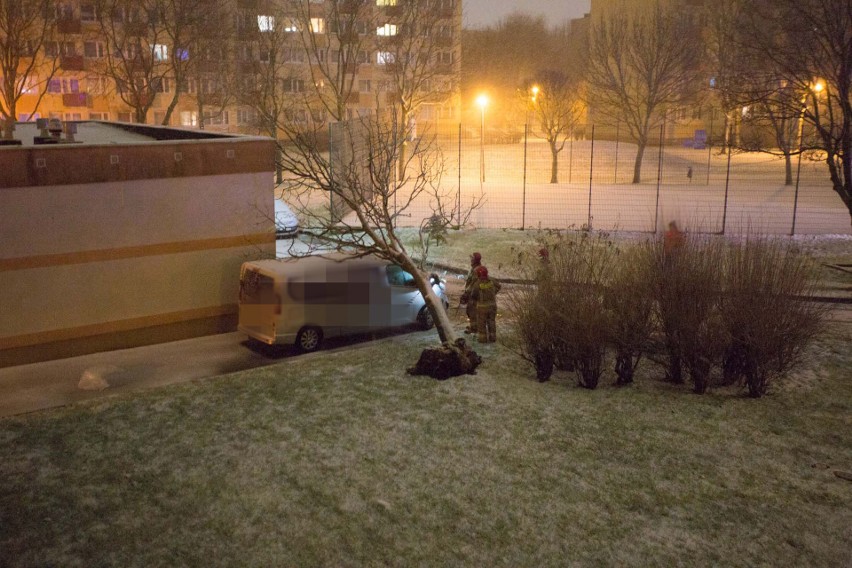 Silny wiatr, zamieć i powalone drzewa. Wichura w regionie