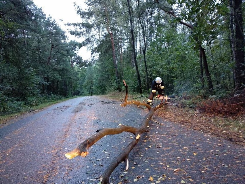 Powiało w zachodniej Małopolsce. Połamane drzewa i uszkodzone samochody, zerwane linie energetyczne