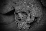 16 lipca. Co się wydarzyło? W pobliżu katedry odkopano szkielet ludzki  [Z ARCHIWUM "GŁOSU"]