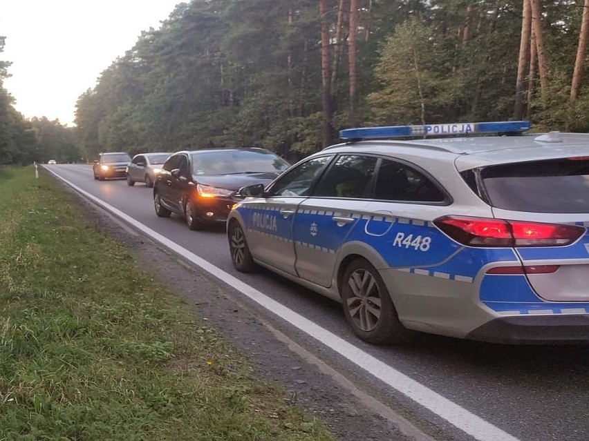 Zatrzymanemu grozi nawet do 2 lat pozbawienia wolności.