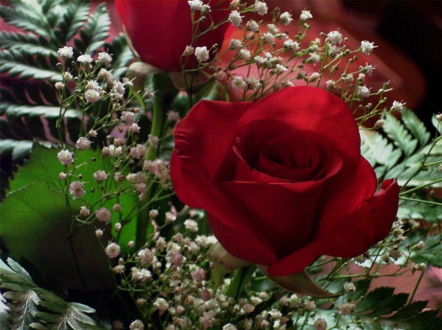 Czerwone róże to doskonały wybór na walentynkowy bukiet - symbolizują trwałą miłość.
