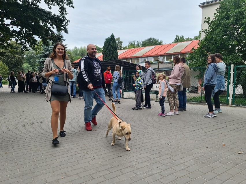 Toruń. Trwa Święto Bydgoskiego Przedmieścia. Duże zainteresowanie akcją "Wyprowadź psa" [Zdjęcia]