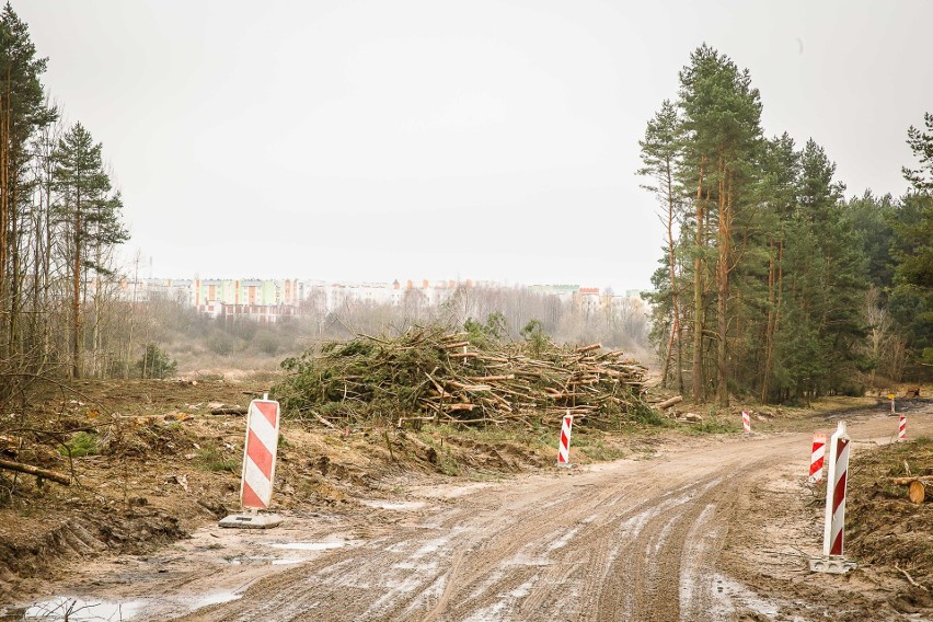 Budowa Trasy Niepodległości rozpoczęła się właśnie w lesie...