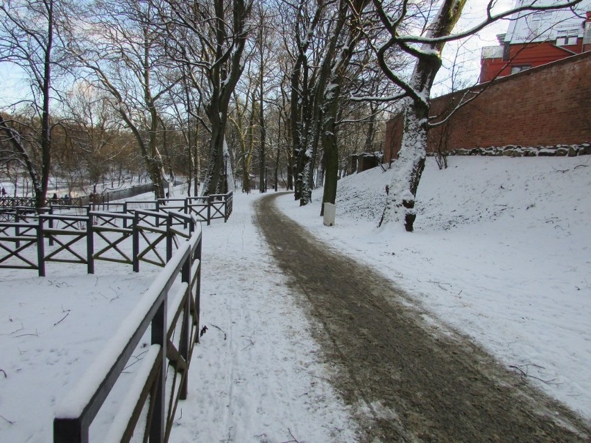 Zima w koszalińskim parku