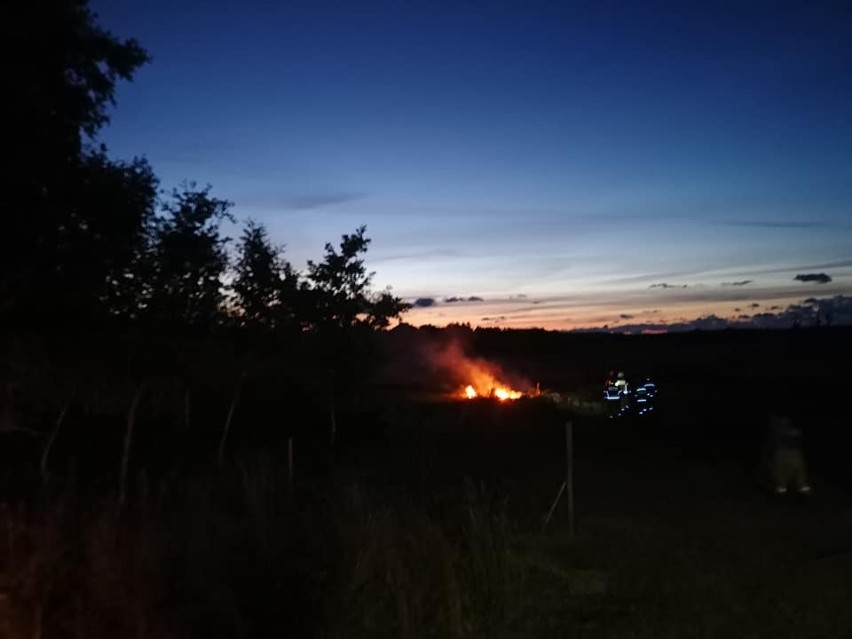 Pożar trawy w Smołdzińskim Lesie