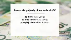 Kara za brak OC 2024 - pozostałe pojazdy