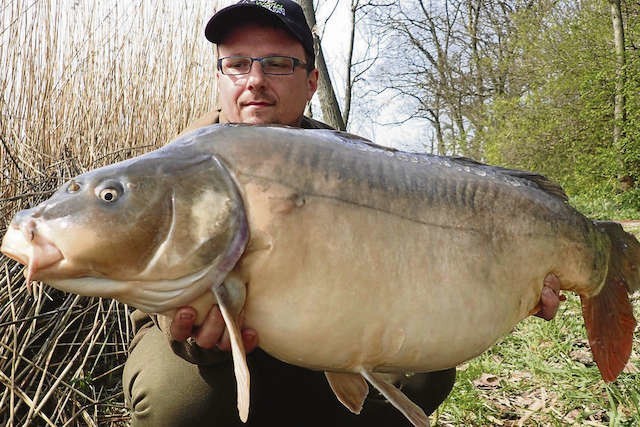 Podczas kwietniowej zasiadki Przemysław Badyniak na łowisku Rybowo koło Gołańczy poskromił  karpia 18,2 kg i długości 95 cm.  Po pomiarach ryba została wypuszczona do wody