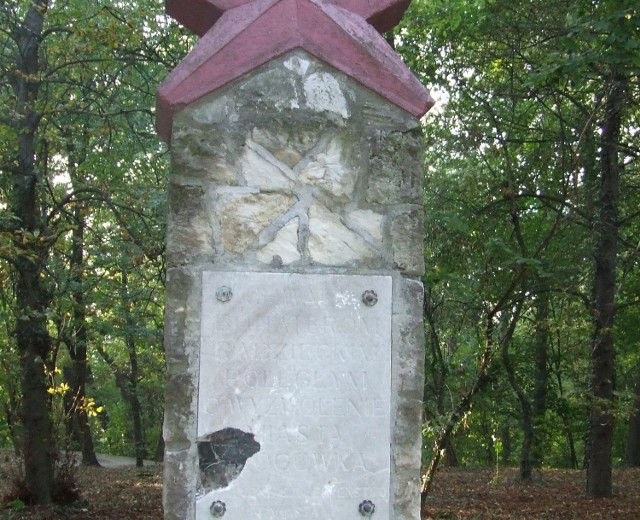 Pomnik stoi w miejskim parku, nie wiadomo, kiedy doszło do jego uszkodzenia.