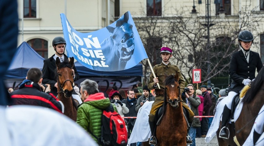 Konna manifestacja w obronie państwowych stadnin koni czystej krwi arabskiej