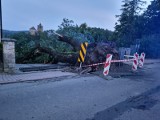 Władze gminy Czchów chcą ogłoszenia stanu klęski żywiołowej po przejściu trąby powietrznej. Trwa liczenie strat