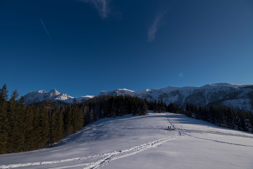 Zimowe Tatry. W weekend w górach było pięknie. Wycieczka do Doliny Małej Łąki i na Przysłop Miętusi [ZDJĘCIA]