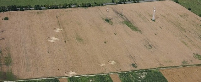 UFO na osiedlu Dojlidy? Tajemnicze kręgi w zbożu z lotu ptaka