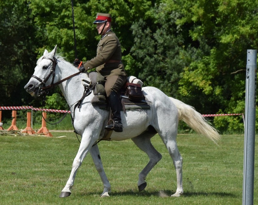 Ostrołęka. Kawaleryjskie zawody nad Narwią. Impreza potrwa dwa dni – 1-2.06.2019