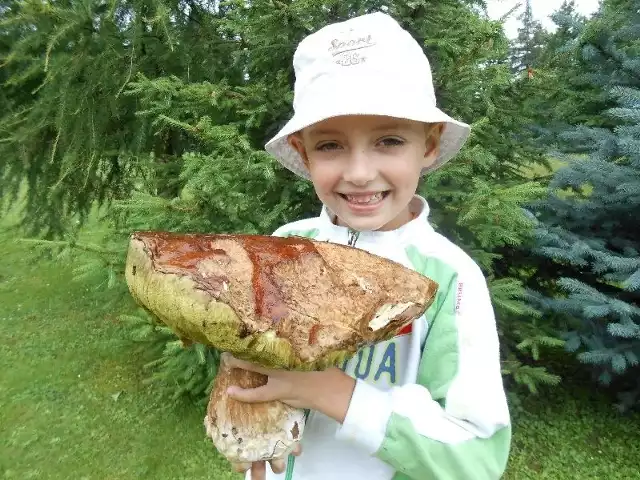 Wiktor Wieczorek wypatrzył w lesie ponadkilogramowego prawdziwka.