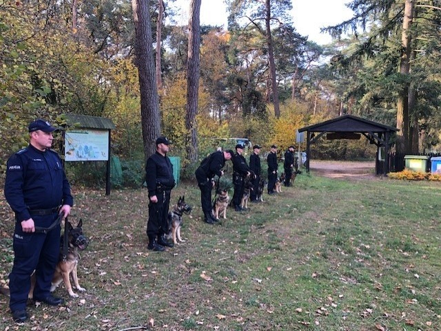 W lasach Leśnictwa Balczewo spotkali się przewodnicy psów z...