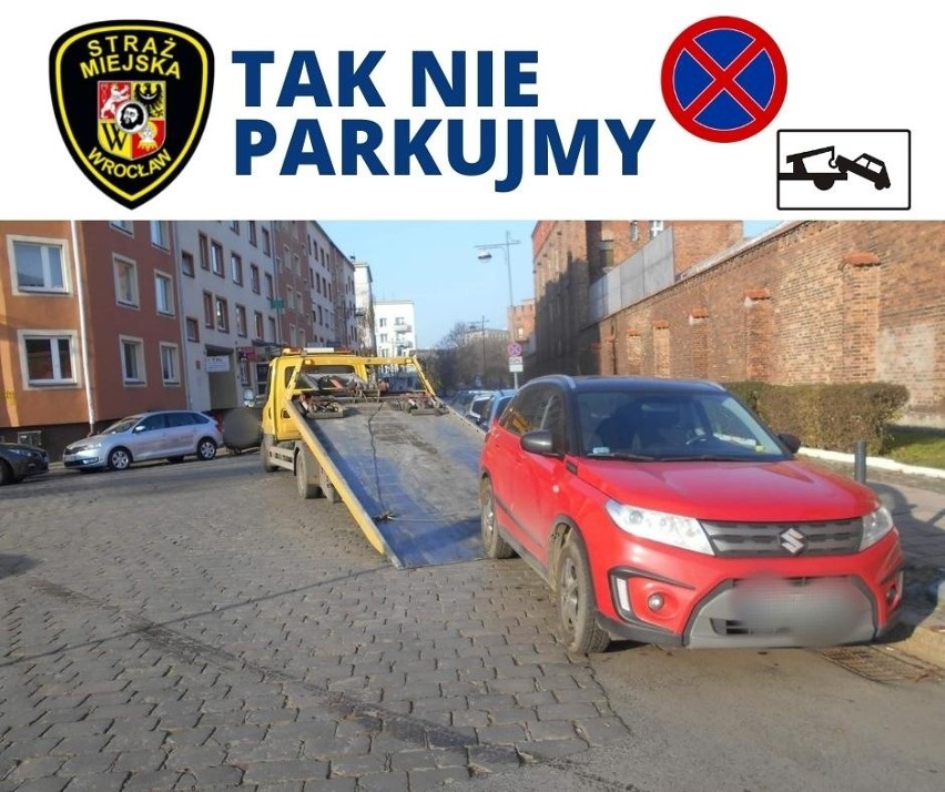 Funkcjonariusze wrocławskiej Straży Miejskiej regularnie...