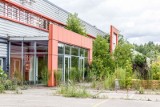 Galeria Kwadrat przegrywa z przyrodą. Pierwsza galeria handlowa w Białymstoku zarasta zielenią 16.07.2019 (zdjęcia)