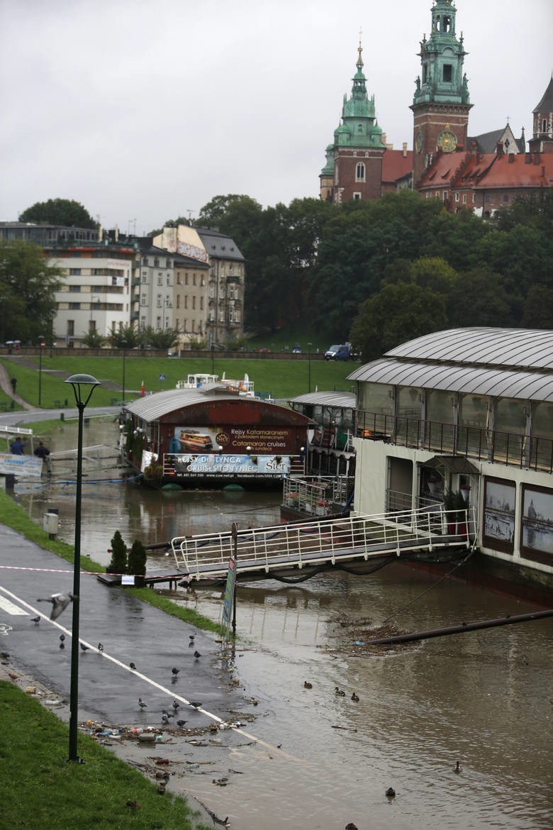 Kraków. Nowa miejska jednostka i jej walka ze zmianami klimatycznymi. Potrzeba 8 miliardów złotych