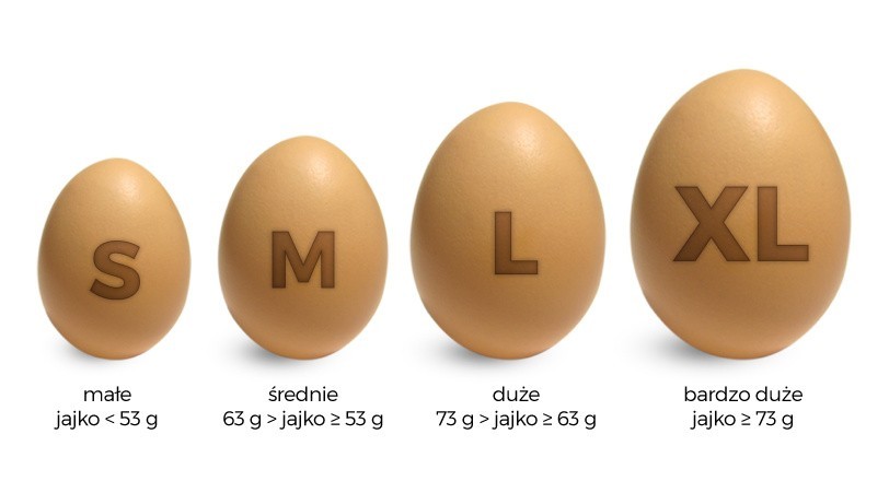 Co oznaczają kody na jajku? Jak czytać liczby na jajkach? Co oznaczają?