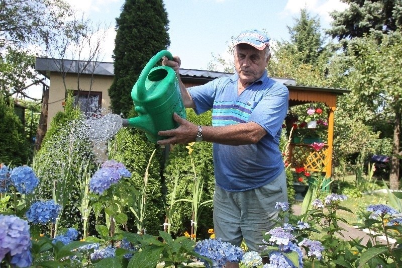 Niektórzy podlewają rośliny nawet dwa razy dziennie.