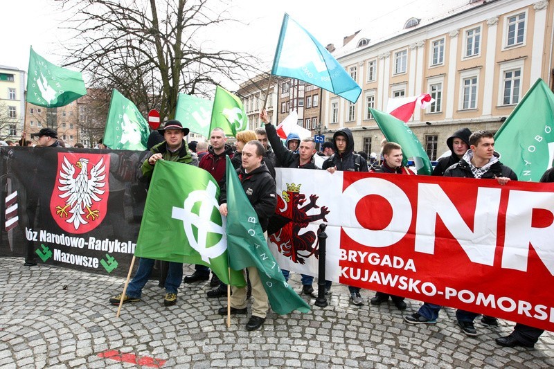 Marsz Narodowców w Szczecinie: "A na drzewach zami...