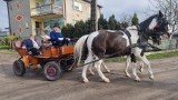 Nietypowa Wielka Sobota w Wielkopolsce. Ksiądz bryczką jechał na święcenie pokarmów