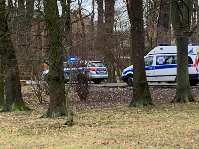 Tragedia w Parku Szczytnickim we Wrocławiu. W sobotę przed 10 rano spacerowicze znaleźli w parku martwego człowieka. - Leżał na parkowej alejce - mówi portalowi GazetaWroclawska.pl Łukasz Dutkowiak z wrocławskiej policji. Na miejsce natychmiast wezwano pogotowie ratunkowego. Niestety, mężczyzna już nie żył.Czytaj dalej na kolejnych slajdach - posługuj się klawiszami strzałek, myszką lub gestami.