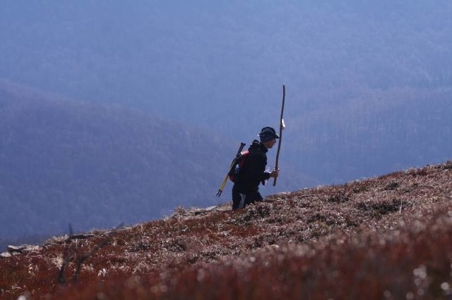 Droga krzyżowa na Tarnicę, co roku przyciąga wiernych w Bieszczady.