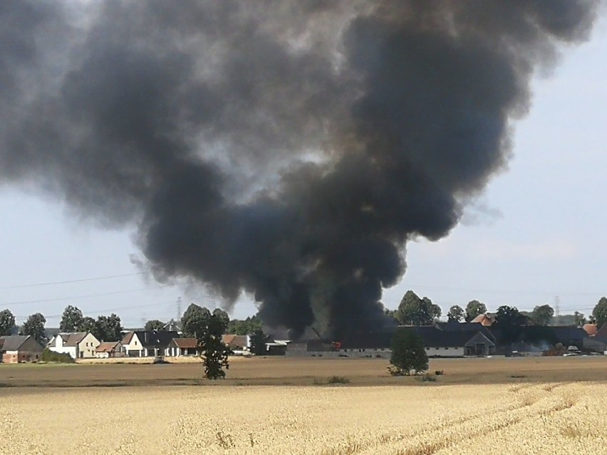 Pożar wybuchł w piątek rano w Chróścinie Opolskiej.