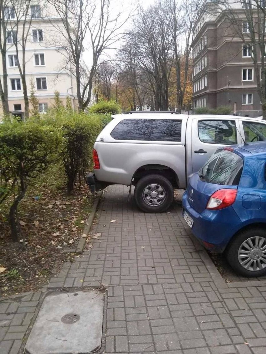 Zanim kierowca zaparkuje powinien zasygnalizować zamiar...