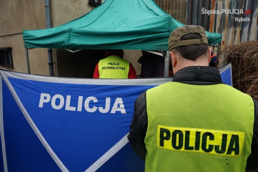 Makabra w Rybniku! Znaleziono zwłoki zakopane na podwórku