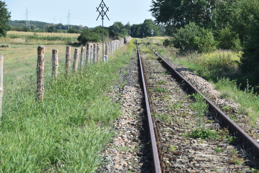 Płot został ustawiony wzdłuż częściowo nieczynnej linii...