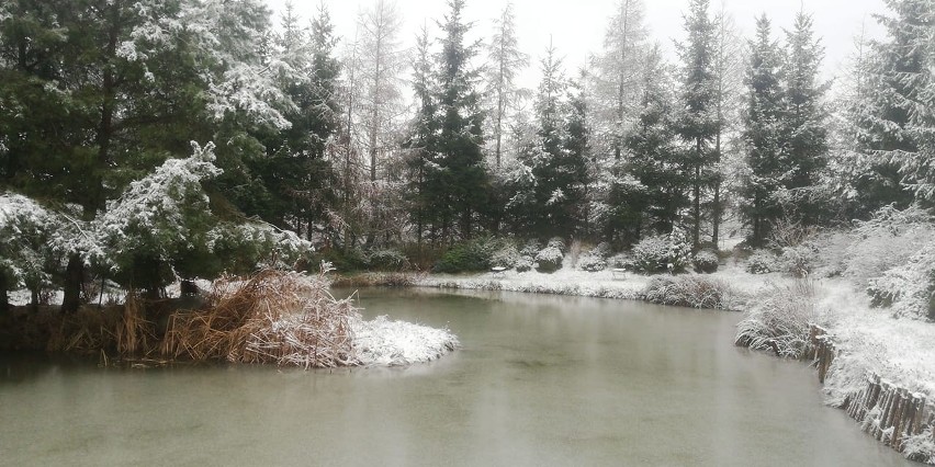 W końcu w regionie koszalińskim zawitała zima. Czy na długo?...