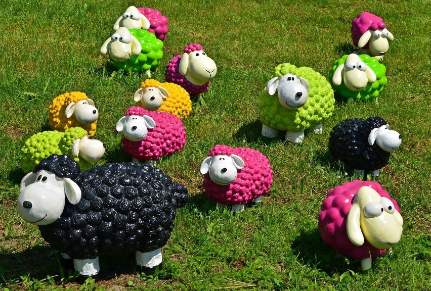 Kolorowe owieczki ogrdowe...