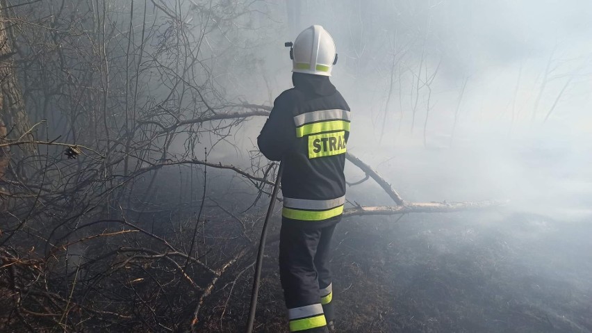 W piątek, 25 marca we Włoszczowicach strażacy interweniowali...