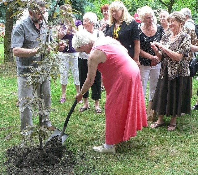 Alina Janowska posadziła we wtorek swoje drzewko w Alei Drzew Wielkich, w buskim parku zdrojowym.